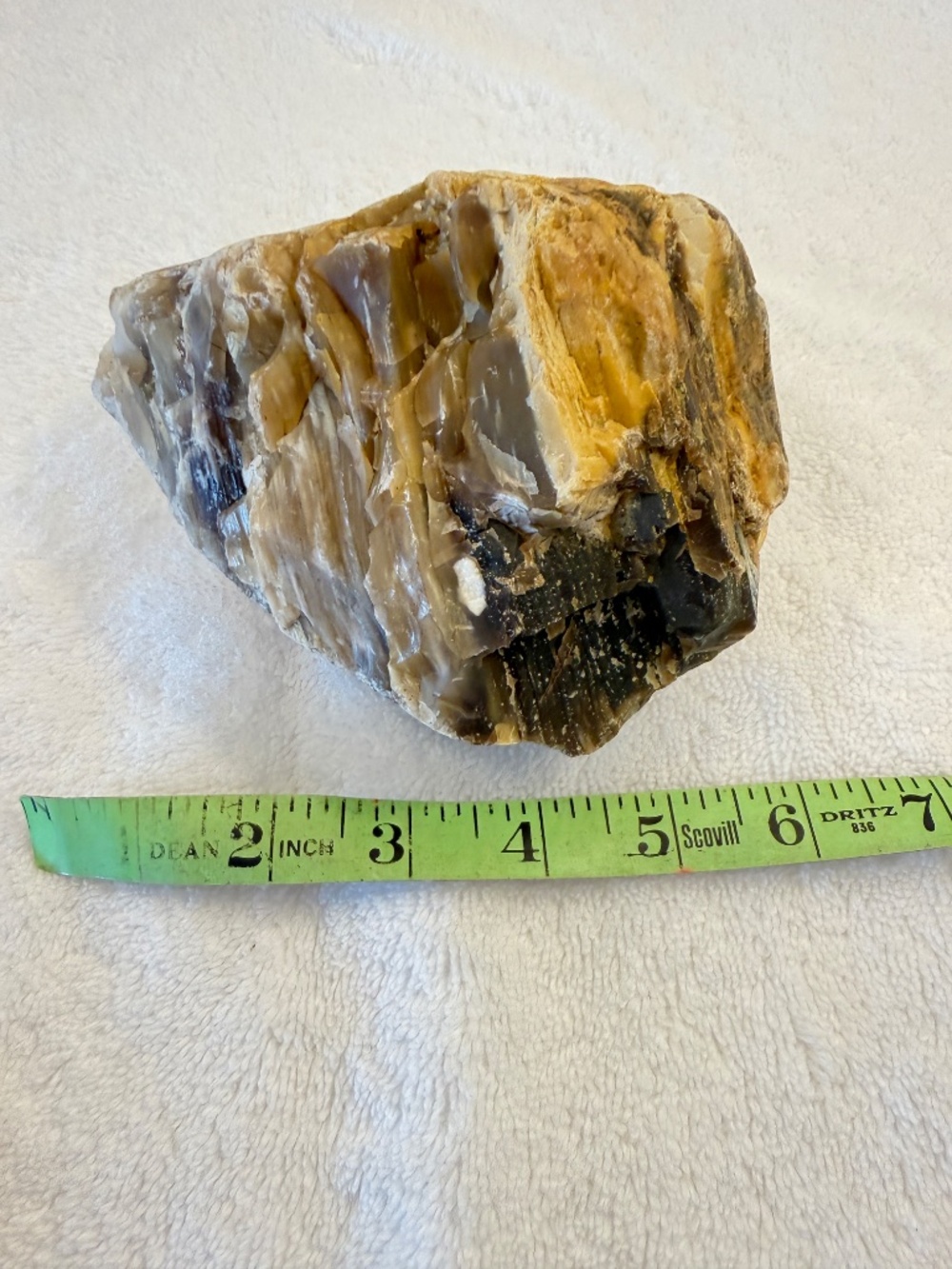 Where Is This From? Big Specimen of Petrified Wood - Picture 9 of 10